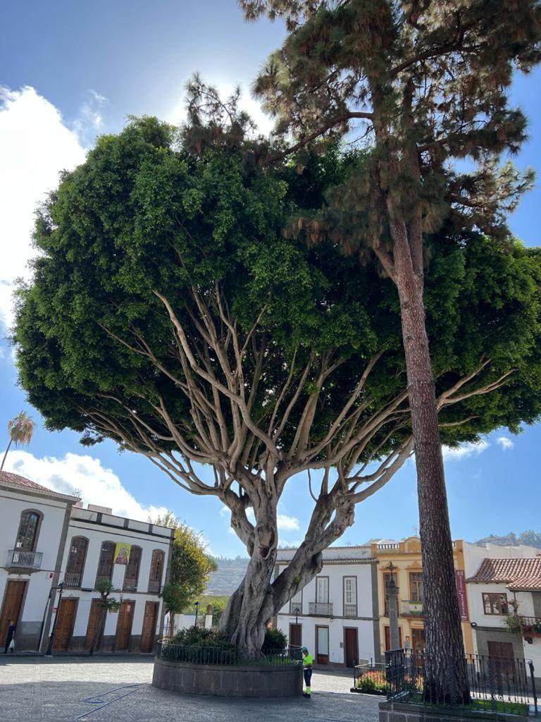 Casa En Teror Centrica Turismo De Ciudad Y Bosques Lejlighed Eksteriør billede